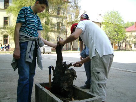05 - nieco z toho dreva bude.jpg
