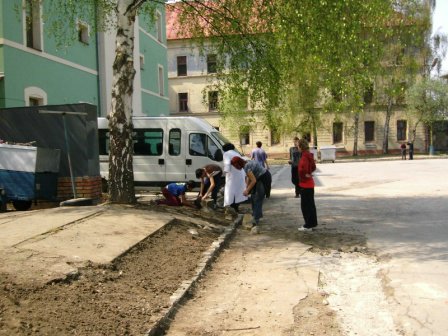 12 - zakladanie skalky.jpg